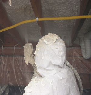 Independence MO crawl space insulation